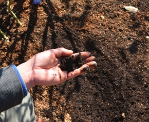 花ごころEZ腐植堆肥