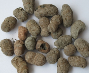 ハイドロボール